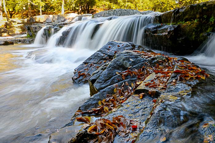 Yr6•006-365•1831•Autmn Falls