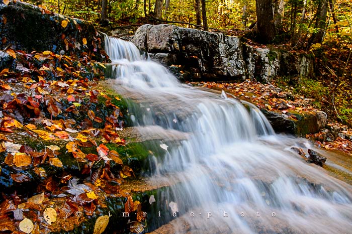 Yr6•008-365•1831•Autmn Falls-2