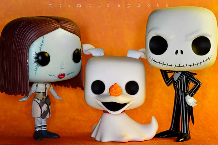 Yr6•008/365•1834 Sally, Zero & Jack October 8, 2014