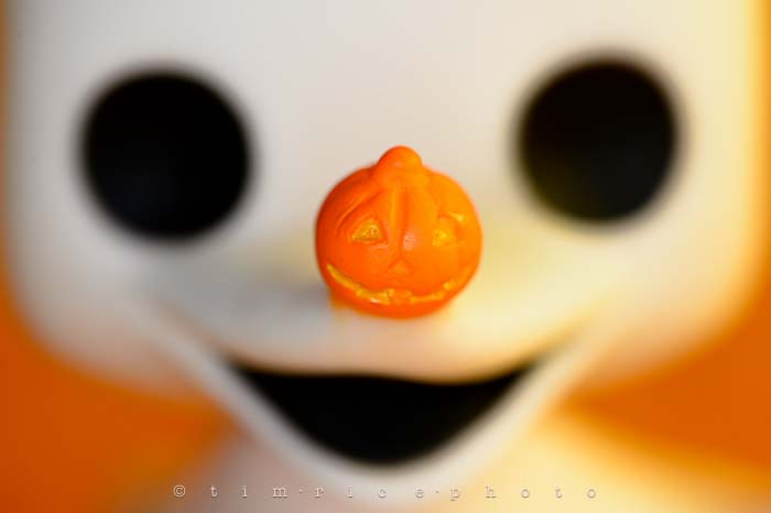 Yr6•008-365•1834•Sally, Zero & Jack