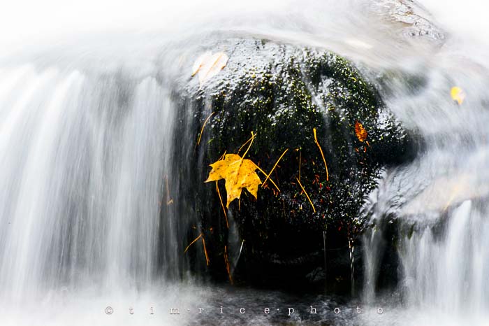 Yr6•009-365•1830•Jackson Falls in the Rain