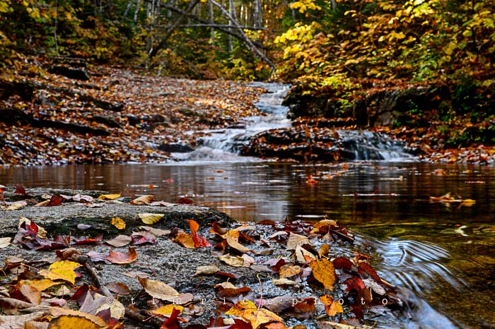 Yr6•009-365•1831•Autmn Falls