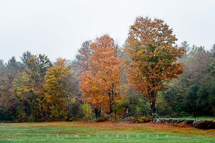 Yr6•010-365•1830•Jackson Falls in the Rain
