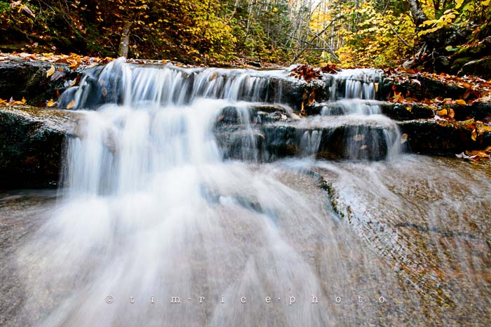 Yr6•010-365•1831•Autmn Falls
