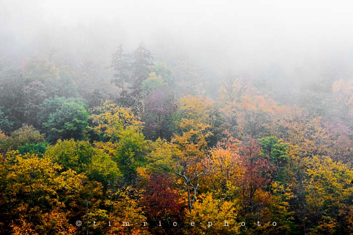Yr6•011-365•1830•Jackson Falls in the Rain