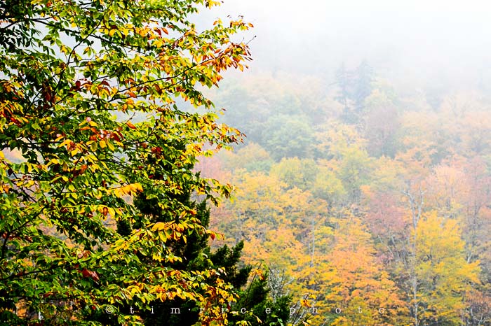 Yr6•012-365•1830•Jackson Falls in the Rain