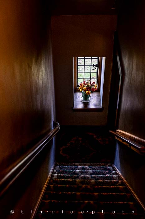 Yr6•012-365•1830•Music in the Clouds