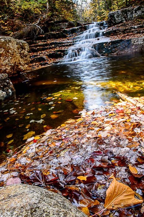 Yr6•013-365•1831•Autmn Falls