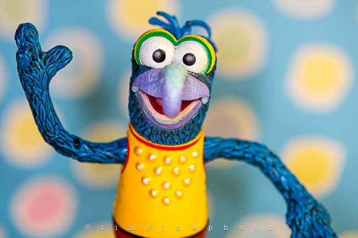 Yr6•015/365•1841 Gonzo October 15, 2014