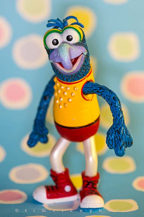 Yr6•014-365•1841•Gonzo