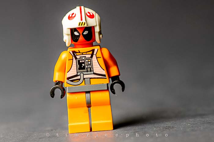 Yr6•016-365•1828•Give Me a D!