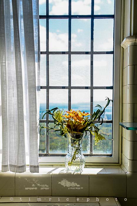 Yr6•017-365•1830•Music in the Clouds