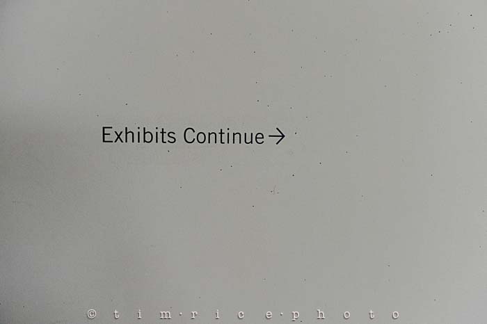 Yr6•018-365•1846•More Than a Picture