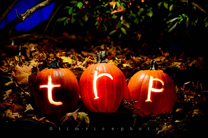 Yr6•019/365•1845 trp the season October 19, 2014