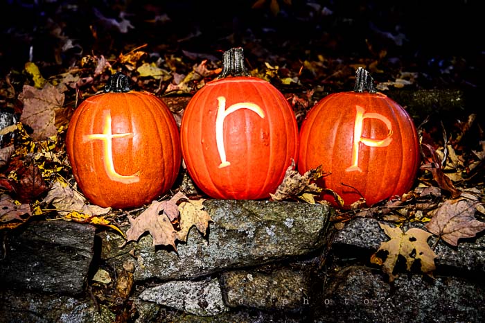 Yr6•019-365•1845•trp the season