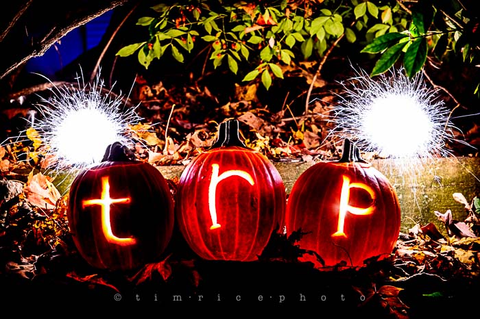 Yr6•022-365•1845•trp the season