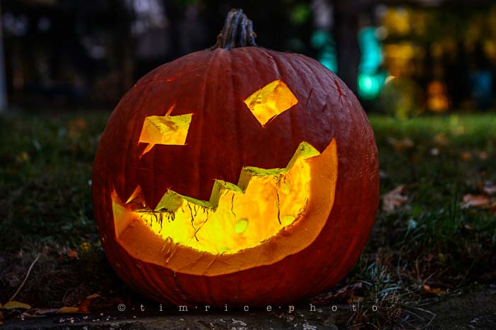 Yr6•023-365•1845•trp the season