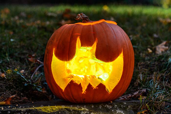 Yr6•024-365•1845•trp the season