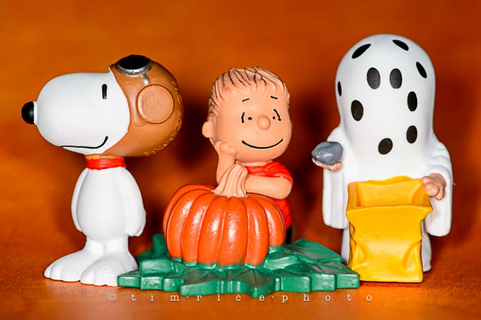 Yr6•024-365•1850• The Great Pumpkin