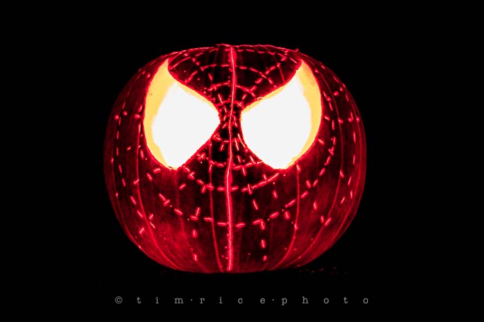 Yr6•025-365•1845•trp the season