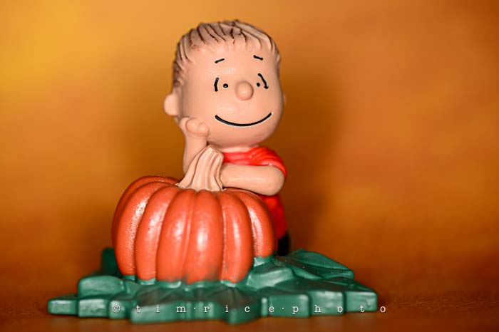 Yr6•025-365•1850• The Great Pumpkin