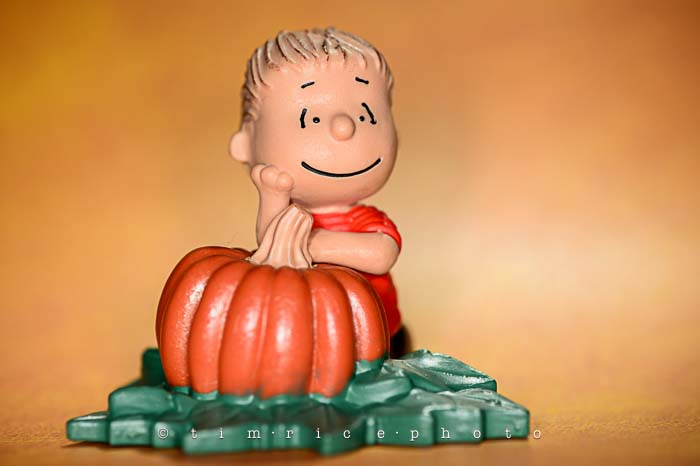 Yr6•026-365•1850• The Great Pumpkin