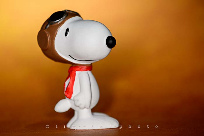 Yr6•027-365•1850• The Great Pumpkin