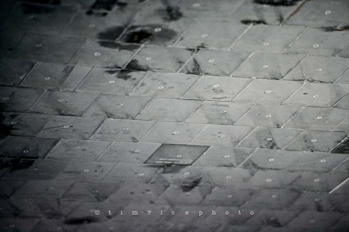 Yr6•028-365•1839•The Discovery