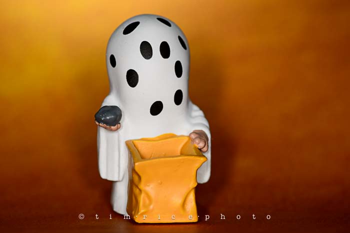 Yr6•028-365•1850• The Great Pumpkin