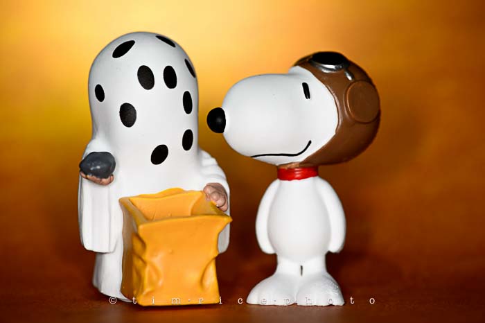 Yr6•029-365•1850• The Great Pumpkin