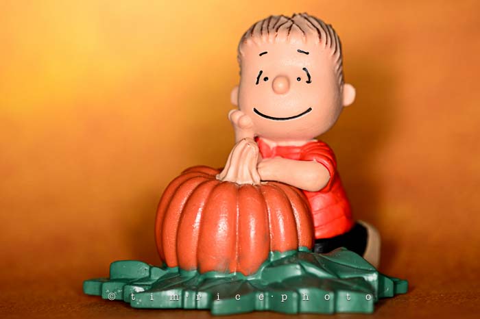 Yr6•030-365•1850• The Great Pumpkin