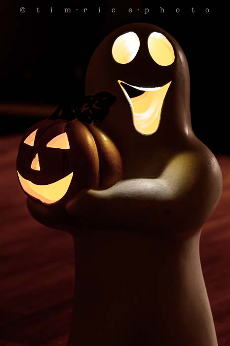 Yr6•030/365•1856 The Ghost and Pumpkin October 30, 2014