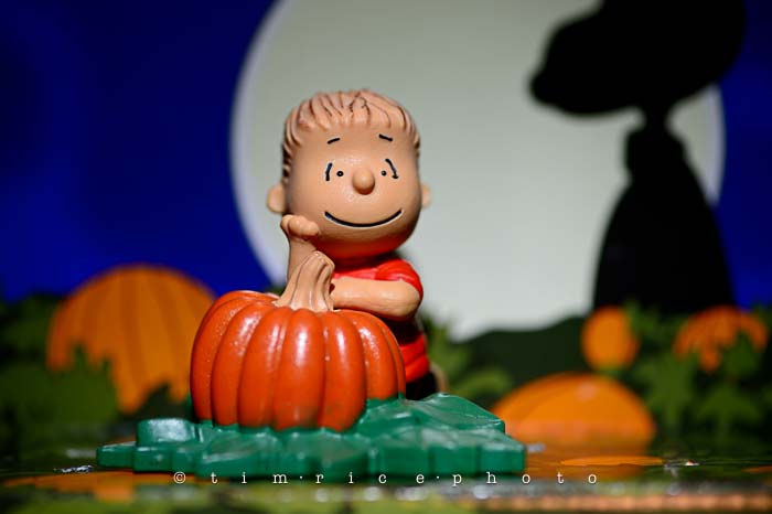 Yr6•031-365•1850• The Great Pumpkin