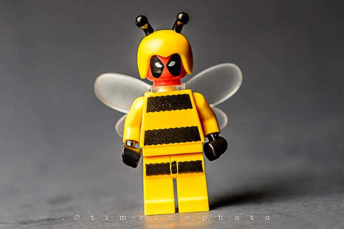 Yr6•032-365•1828•Give Me a D!