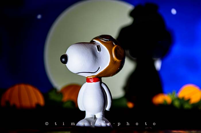 Yr6•032-365•1850• The Great Pumpkin