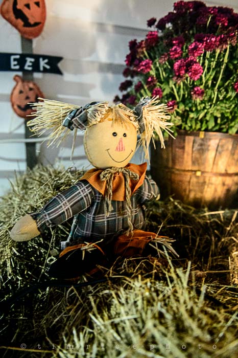 Yr6•032-365•1857•Trick or Treat