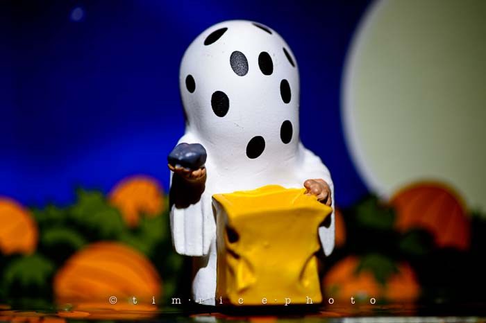 Yr6•033-365•1850• The Great Pumpkin