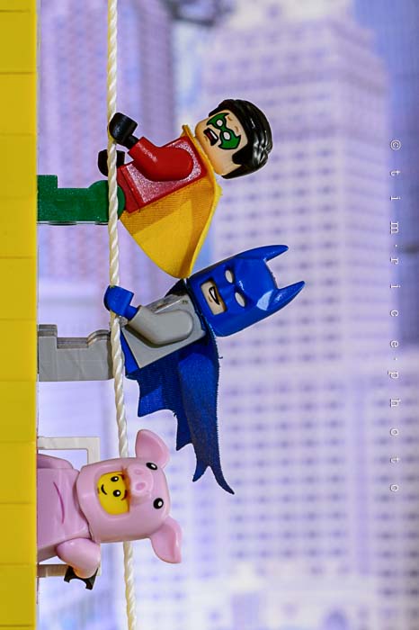 Yr6•038-365•1862•Caped Crusaders Legoboy