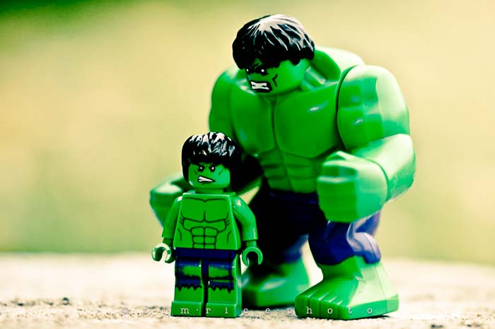 Yr6•043/365•1869 Hulk Smash Hulk November 12, 2014