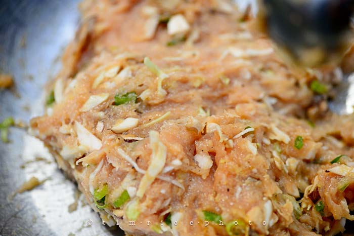 Yr6•044-365•1870•Potstickers