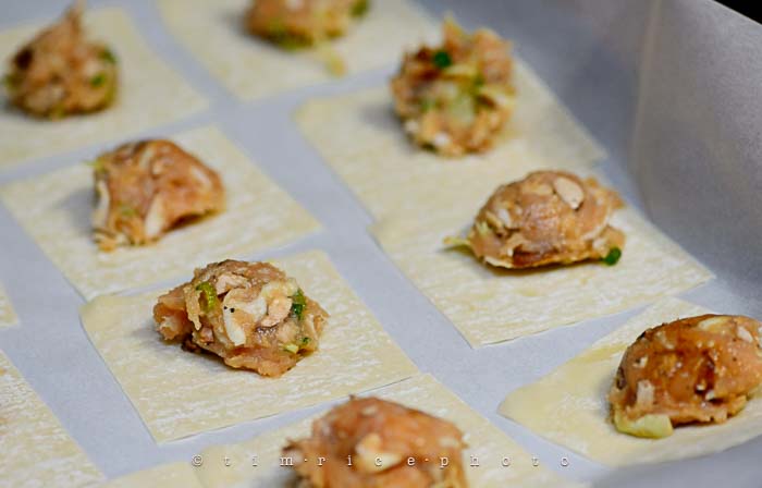 Yr6•045-365•1870•Potstickers