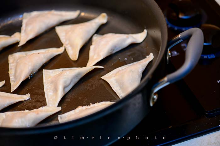 Yr6•046-365•1870•Potstickers