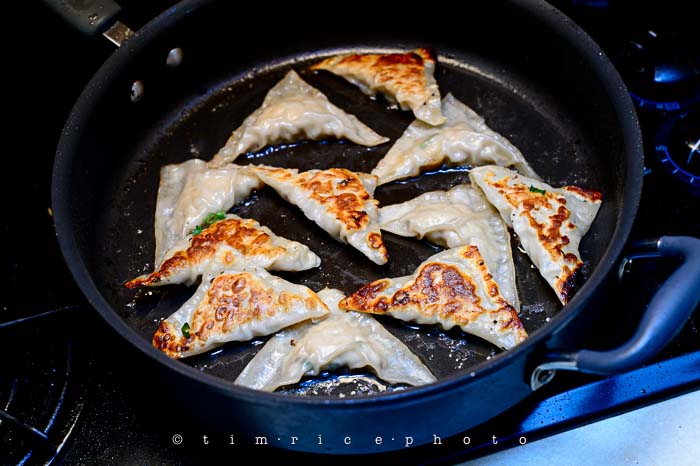 Yr6•050-365•1870•Potstickers