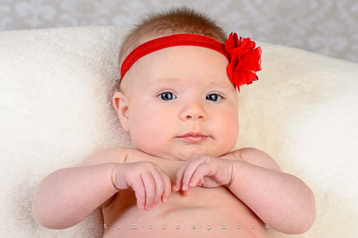 Yr6•063-365•1888•Charlotte with Bow