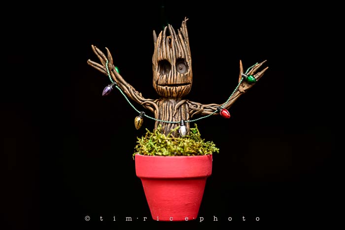 Yr6•064-365•1890•Little Groot