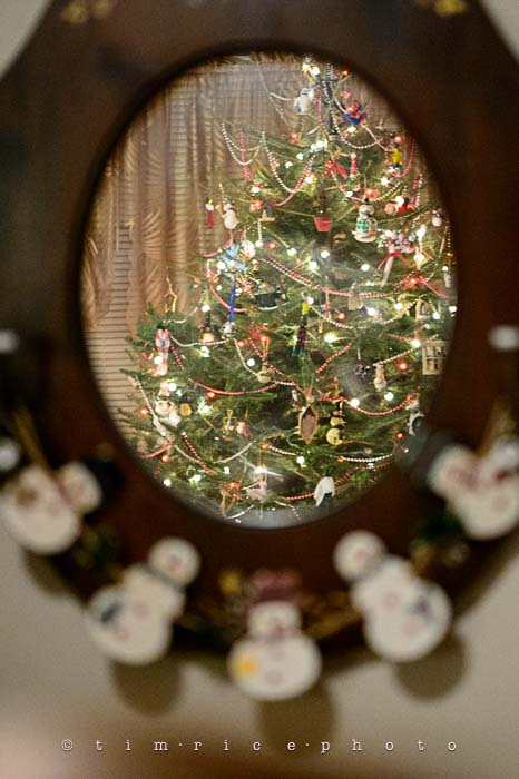 Yr6•067-365•1893•Family Tree