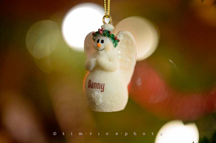 Yr6•071-365•1893•Family Tree