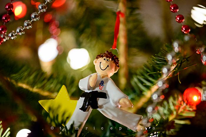 Yr6•072-365•1893•Family Tree