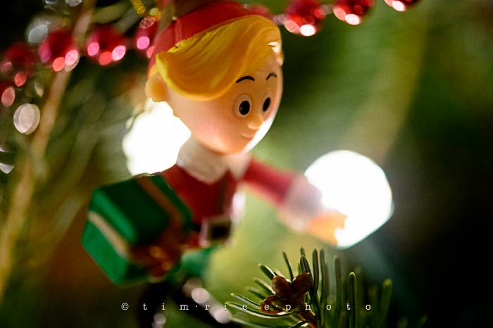 Yr6•073-365•1893•Family Tree