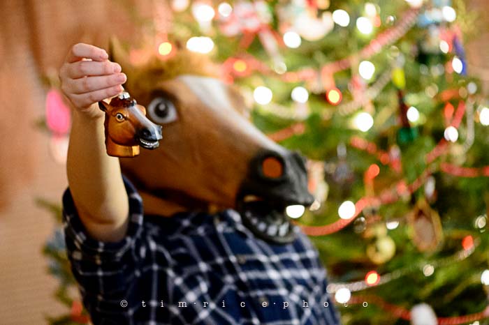 Yr6•075-365•1893•Family Tree